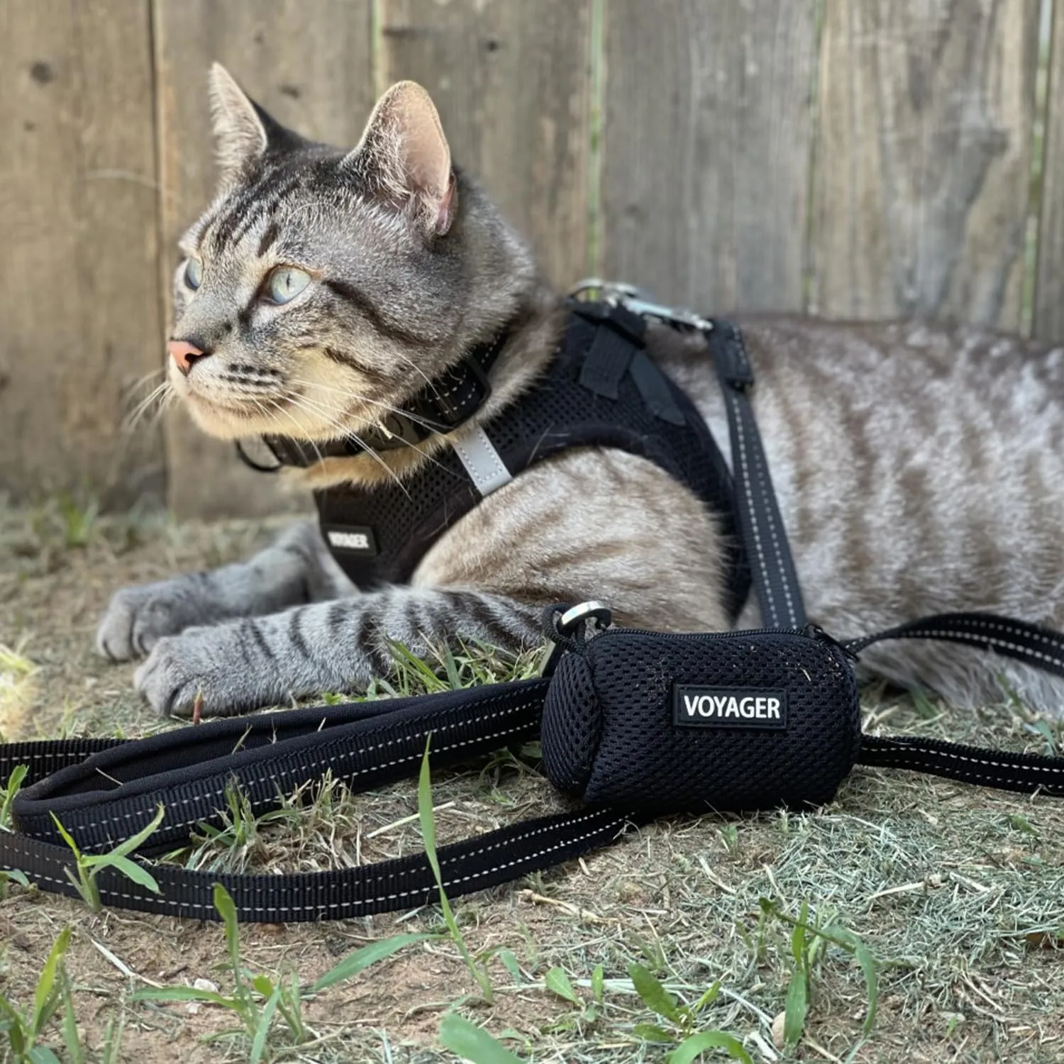 Voyager Step-in Air Cat Leash Harness Set - All Weather Mesh, Step in Vest Harness for Small and Large Cats by Best Pet Supplies - Black, XXS (Chest 12-13.5")
