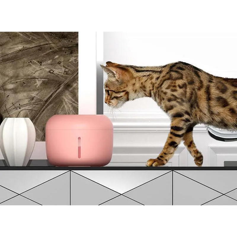 Water Fountain for Pets