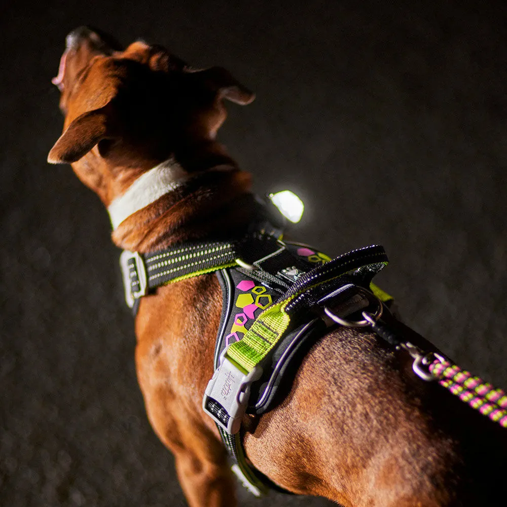 Weekend Warrior Neon Harness