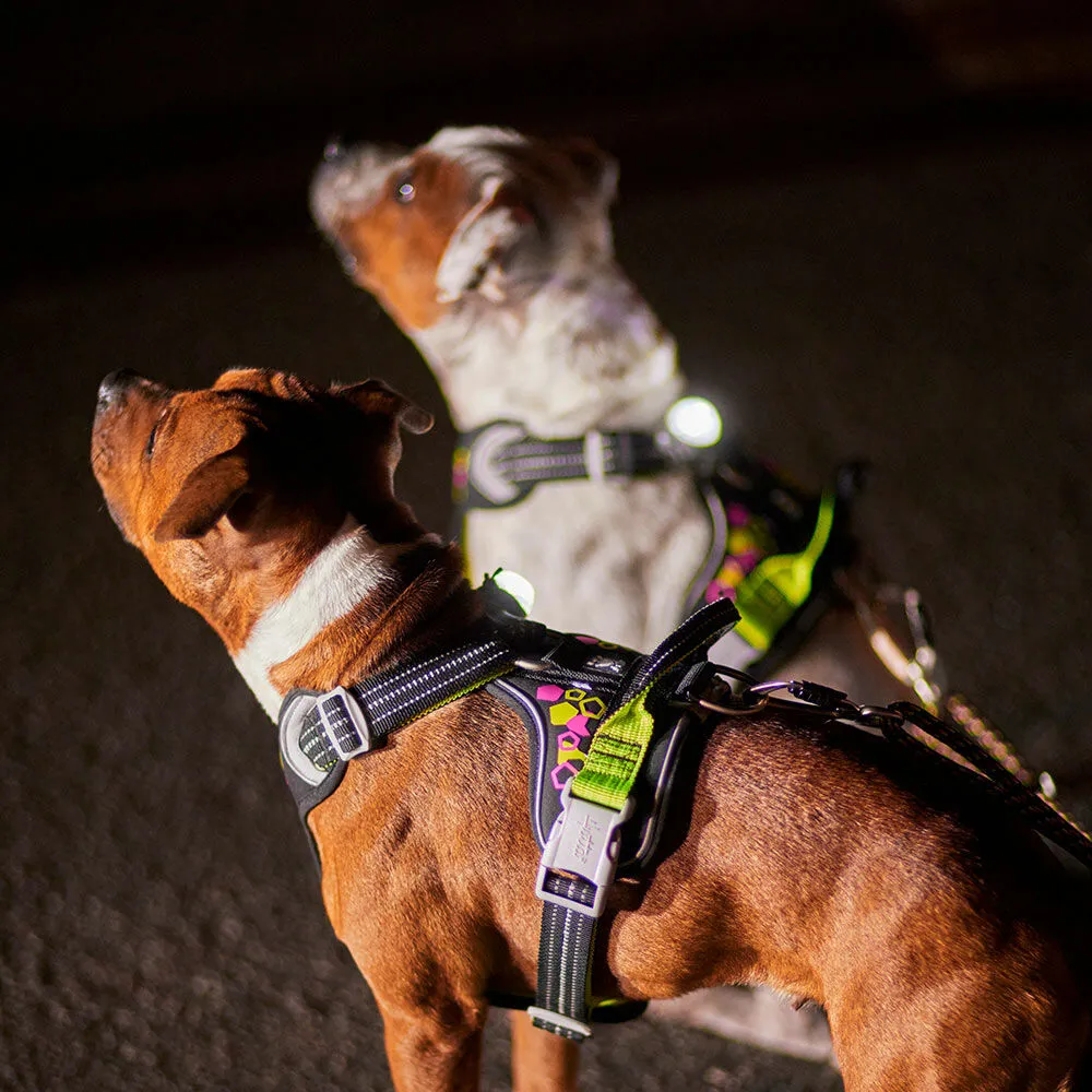 Weekend Warrior Neon Harness