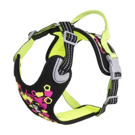 Weekend Warrior Neon Harness