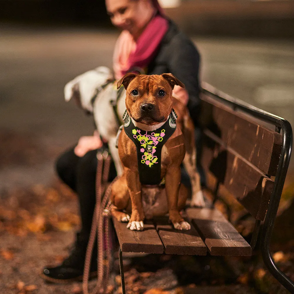 Weekend Warrior Neon Harness
