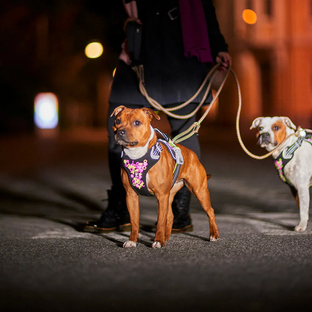 Weekend Warrior Neon Harness