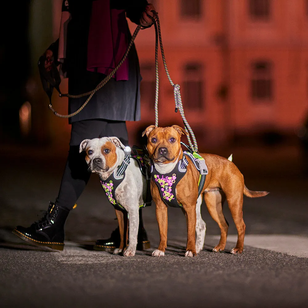 Weekend Warrior Neon Harness